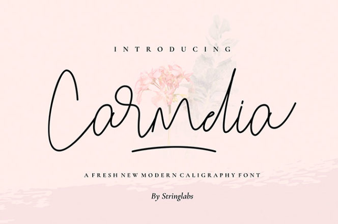 Carmelia Modern Calligraphy Font