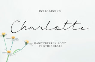 Charlotte Casual Handwritten Font