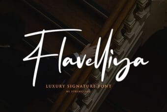 Flavellya Script Font