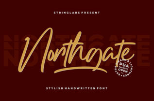 Northgate Stylish Handwritten Font