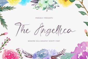 Angellica Modern Calligraphy Font