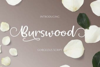 Burswood Script Font