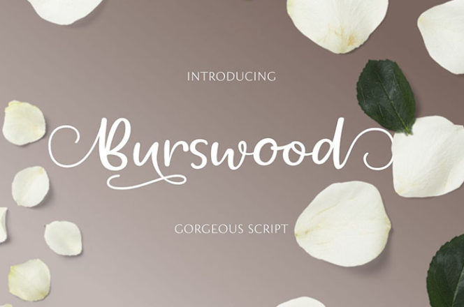 Free Burswood Script Font