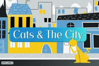 Cats and The City Sans Serif Font