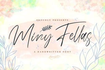 Miny Fellas Handwritten Font