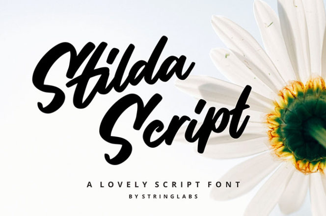 Stilda Lovely Script Font