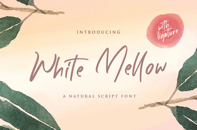 White Mellow Script Font