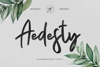 Aedesty Script Font
