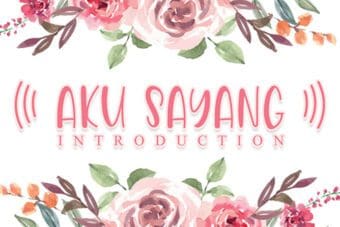 Aku Sayang Display Font