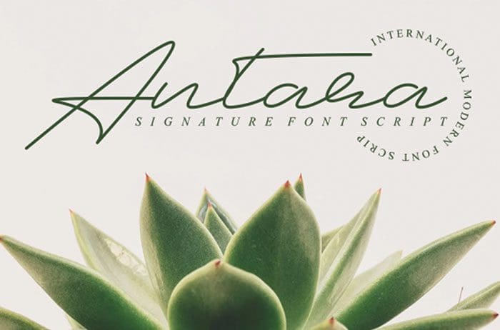 Antara Calligraphy Font