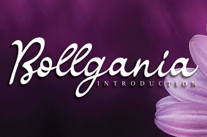 Bollgania Calligraphy Font