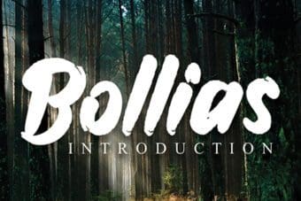 Bollias Brush Font