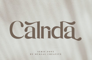 Free Calrida Serif Font