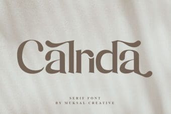 Calrida Serif Font