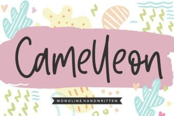 Camelleon Handwritten Font