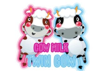 Coco Milk Display Font