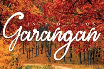 Garangan Brush Font