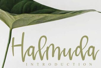Halmuda Calligraphy Font