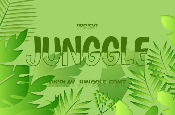 Junggle Display Font