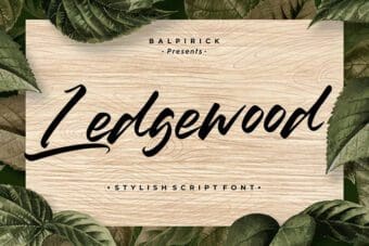Ledgewood Stylish Script Font