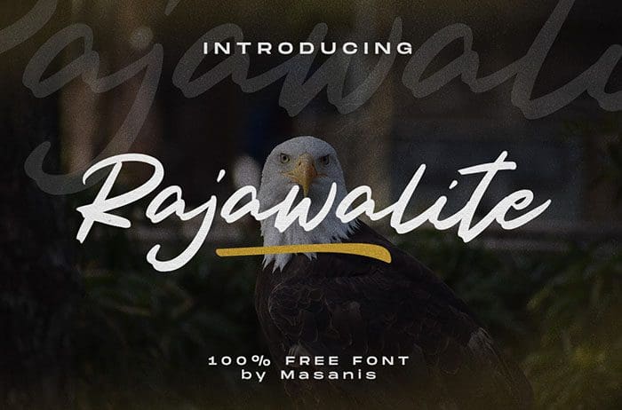 Rajawalite Brush Font