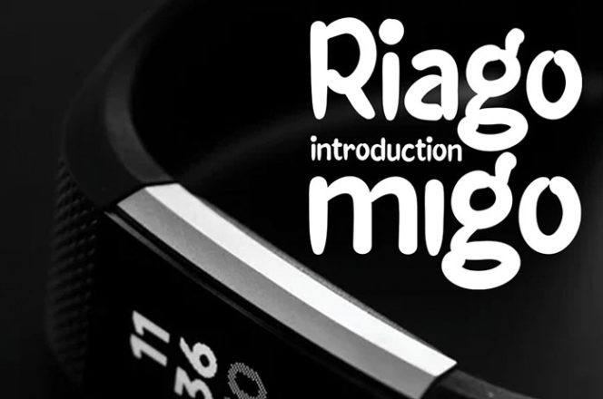 Riago Migo Serif Font