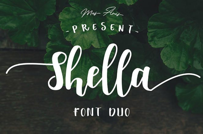 Shella Sans Serif Font