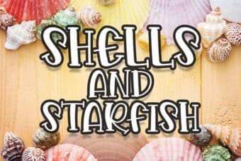 Shells And Starfish Display Font