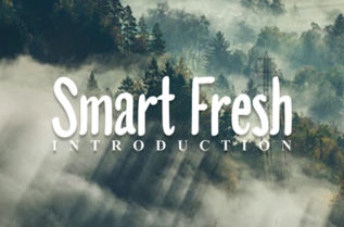 Smart Fresh Serif Font