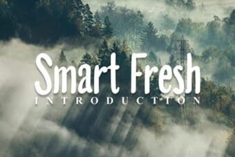 Smart Fresh Serif Font