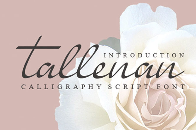 Free Tallenan Calligraphy Font