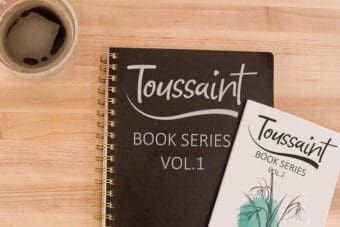 Toussaint Display Font