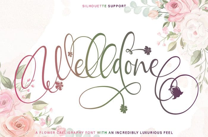 Welldone Script Font