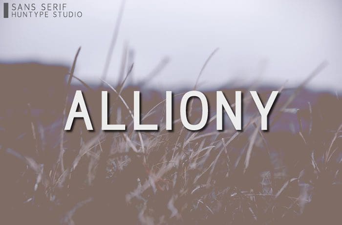 Alliony Sans Serif Font