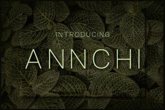 Annchi Sans Serif Font