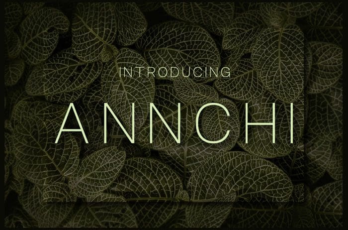 Annchi Sans Serif Font