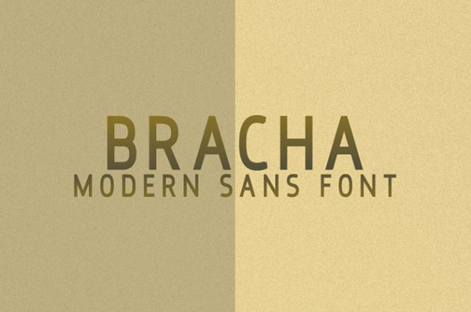 Bracha Sans Serif Font