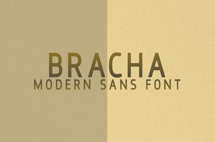 Bracha Sans Serif Font