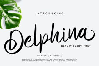 Delphina Beauty Script Font