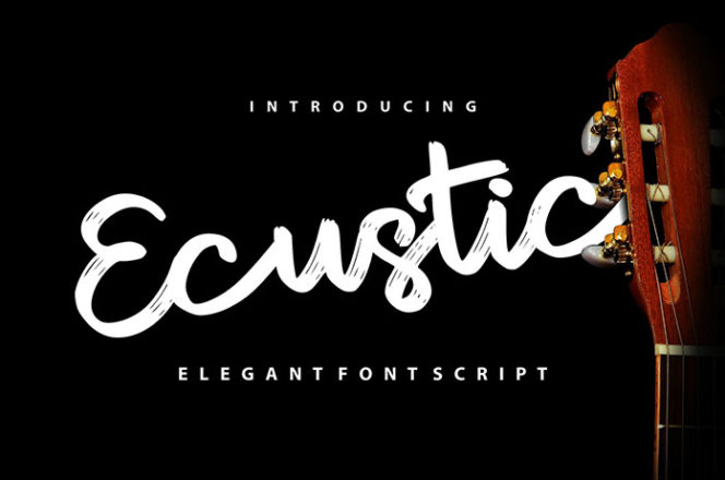 Ecustic Elegant Script Font