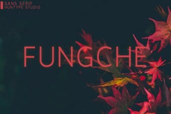 Fungche Sans Serif Font