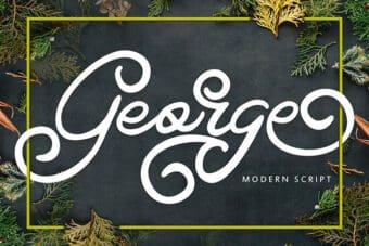 George Script Font