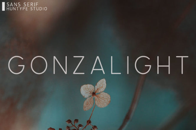 Gonzalight Sans Serif Font