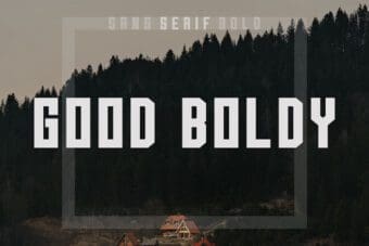 Good Boldy Sans Serif Font