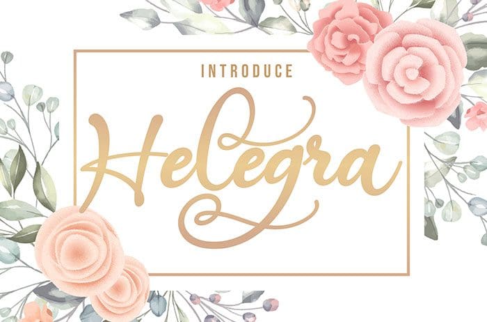 Helegra Script Font