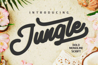 Jungle Bold Script Font