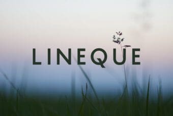 Lineque Sans Serif Font