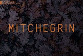 Mitchegrin Sans Serif Font