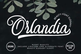 Orlandia Script Font