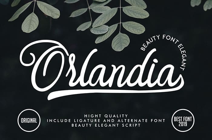 Orlandia Script Font